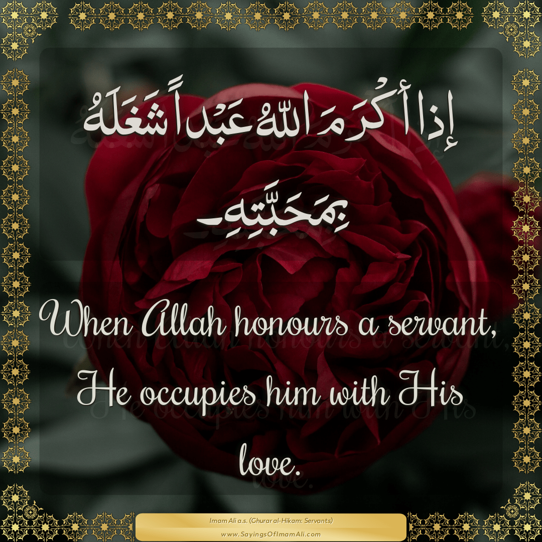 When Allah honours a servant, He occupies him with His love.